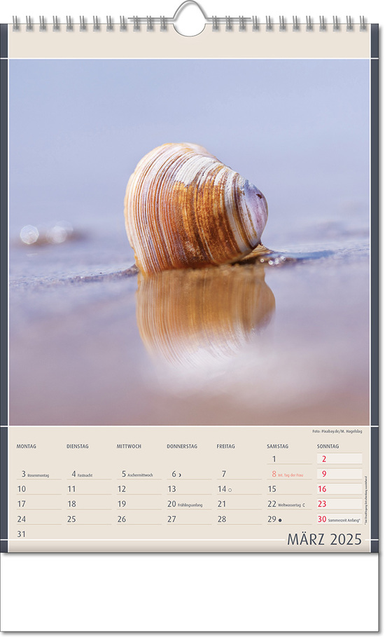 Kalender "Fundstücke der Natur" im Format 24 x 38,5 cm, mit Wire-O Bindung und verlängerter Rückwand