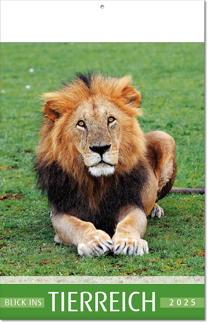 Kalender "Blick ins Tierreich" im Format 24 x 37,5 cm, mit Fälzel