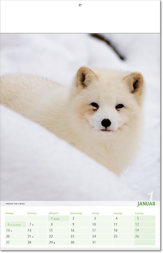 Kalender "Blick ins Tierreich" im Format 24 x 37,5 cm, mit Fälzel