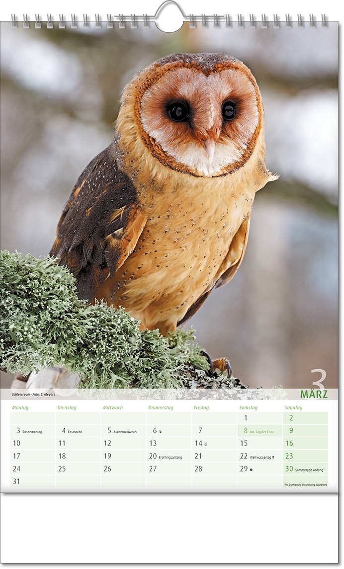 Kalender "Blick ins Tierreich" im Format 24 x 38,5 cm, mit Wire-O Bindung und verlängerter Rückwand