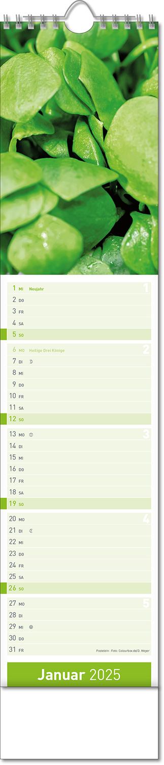 Kalender "Fresh" im Format 11 x 51 cm, mit Wire-O-Bindung und verlängerter Rückwand