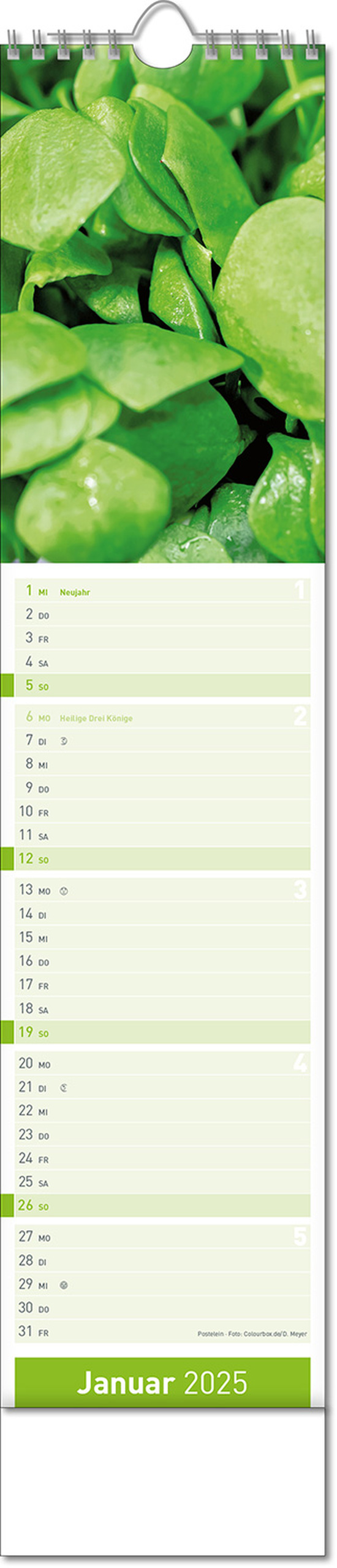 Kalender "Fresh" im Format 11 x 51 cm, mit Wire-O-Bindung und verlängerter Rückwand