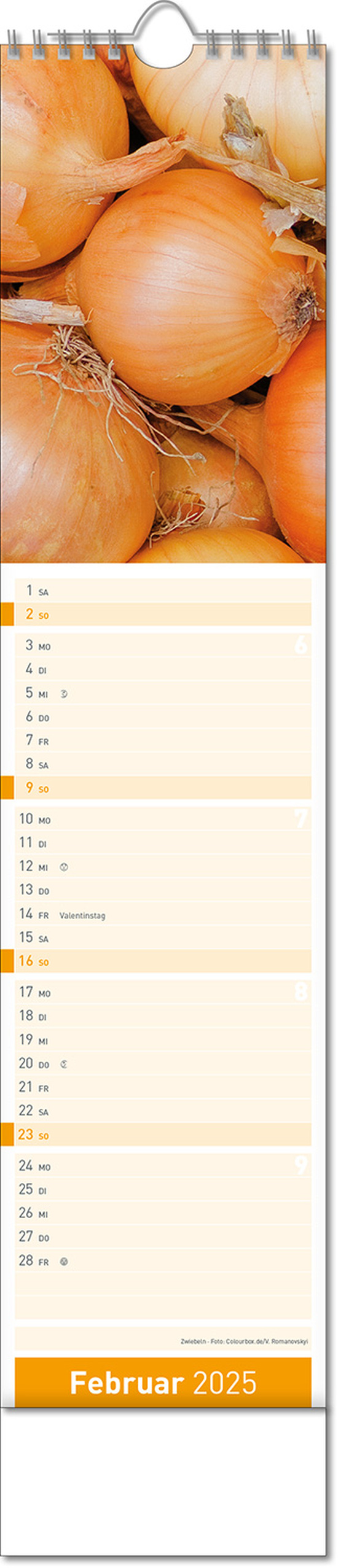 Kalender "Fresh" im Format 11 x 51 cm, mit Wire-O-Bindung und verlängerter Rückwand