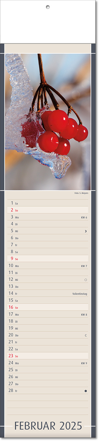 Kalender "Fundstücke der Natur" im Format 11 x 50 cm, mit Fälzel