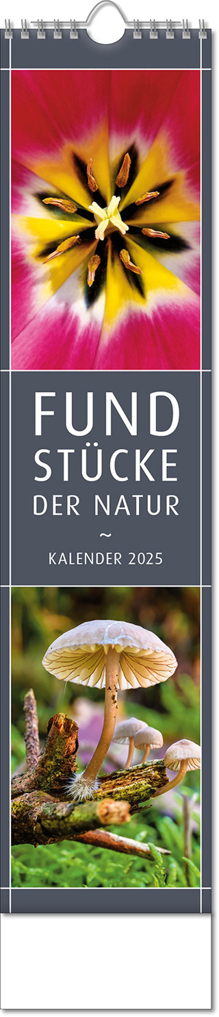 Kalender "Fundstücke der Natur" im Format 11 x 51 cm, mit Wire-O-Bindung und verlängerter Rückwand