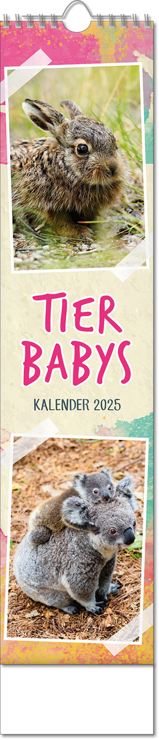 Kalender "Tierbabys" im Format 11 x 51 cm, mit Wire-O-Bindung und verlängerter Rückwand