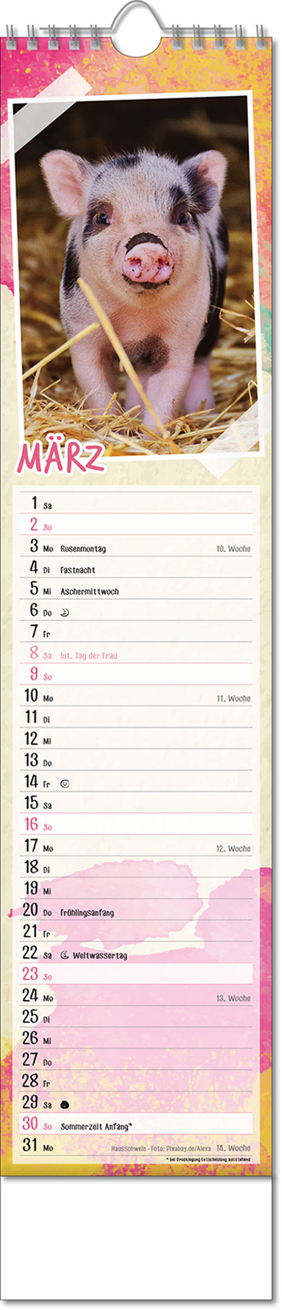 Kalender "Tierbabys" im Format 11 x 51 cm, mit Wire-O-Bindung und verlängerter Rückwand