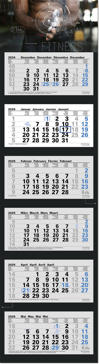 6-Monatsplaner "Ocean-6" mit deutsch-mehrsprachigem Kalendarium im Format 33 x 122,5 cm, grau/blau