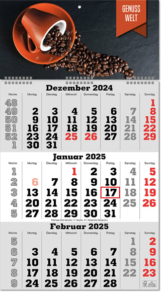 Drei-Monats-Planer "Classic-wire", grau, im Format 30 x 55,5 cm, Datumsweiser umgelegt