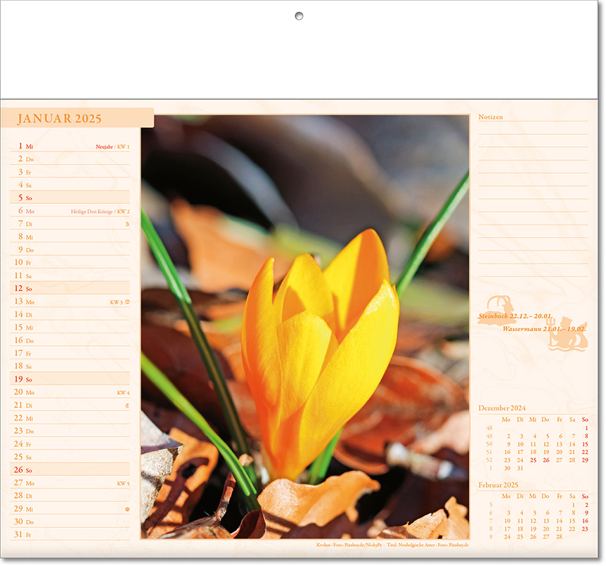 Kalender "Blütenwelt" im Format 30 x 28 cm, mit Fälzel