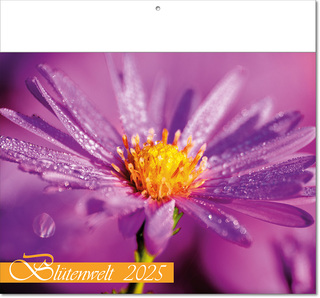 Kalender "Blütenwelt" im Format 30 x 28 cm, mit Fälzel