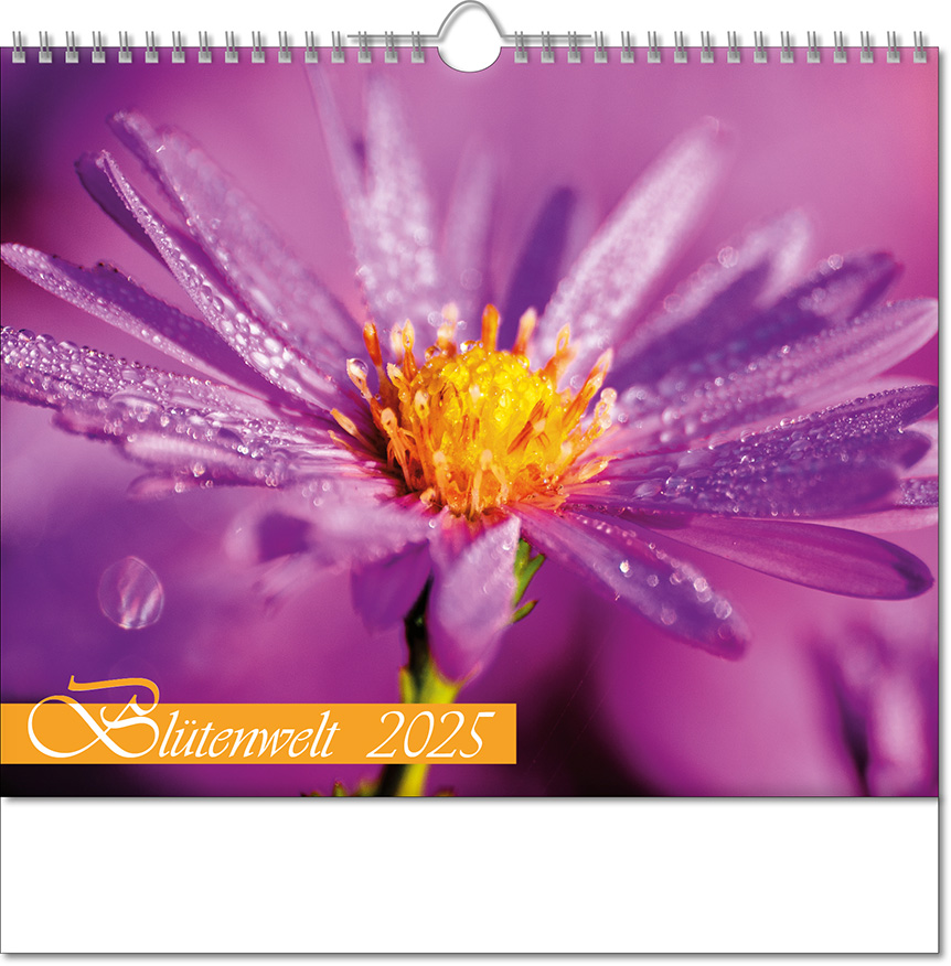 Kalender "Blütenwelt" im Format 30 x 29 cm, mit Wire-O-Bindung und verlängerter Rückwand