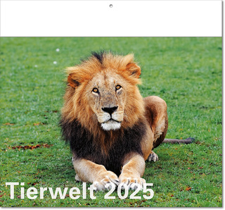 Kalender "Tierwelt" im Format 30 x 28 cm, mit Fälzel