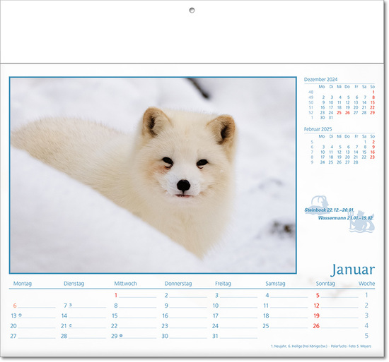 Kalender "Tierwelt" im Format 30 x 28 cm, mit Fälzel