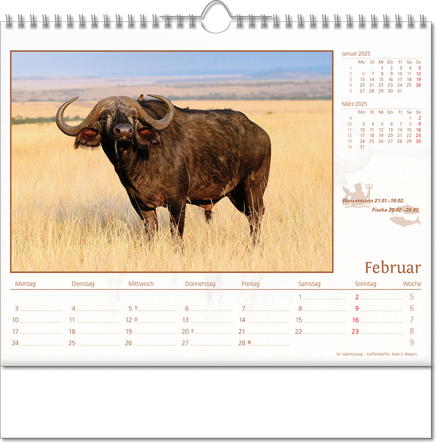 Kalender "Tierwelt" im Format 30 x 29 cm, mit Wire-O-Bindung und verlängerter Rückwand