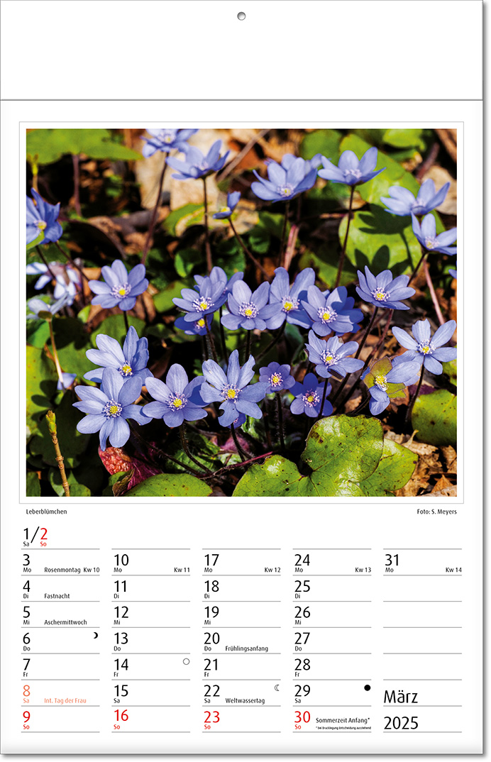 Kalender "Botanica" im Format 24 x 37,5 cm, mit Fälzel