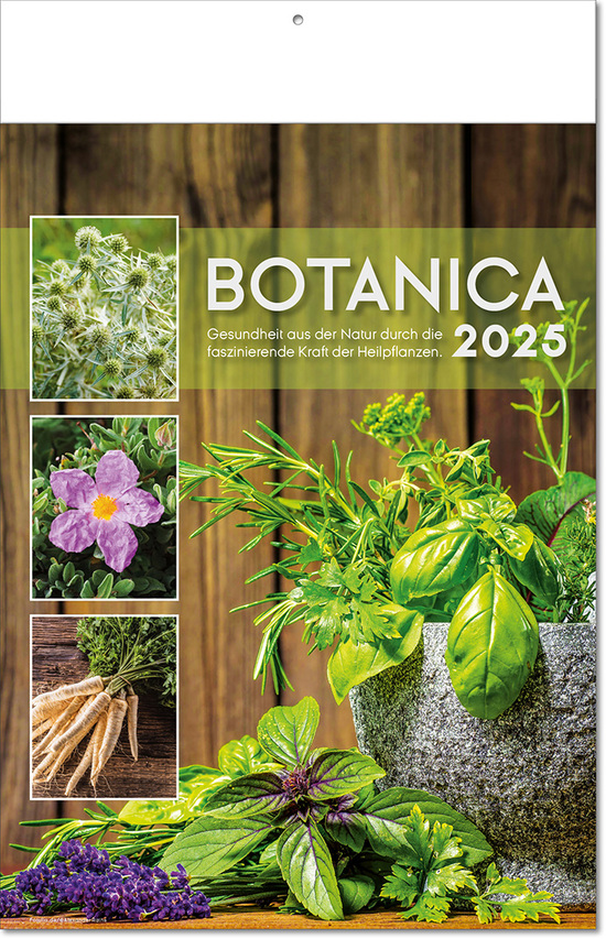 Kalender "Botanica" im Format 24 x 37,5 cm, mit Fälzel