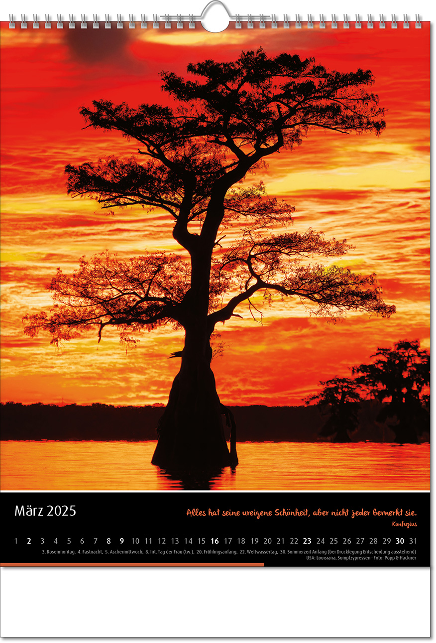 Kalender "Emotion" im Format 30,5 x 43,6 cm, mit Wire-O-Bindung und verlängerter Rückwand