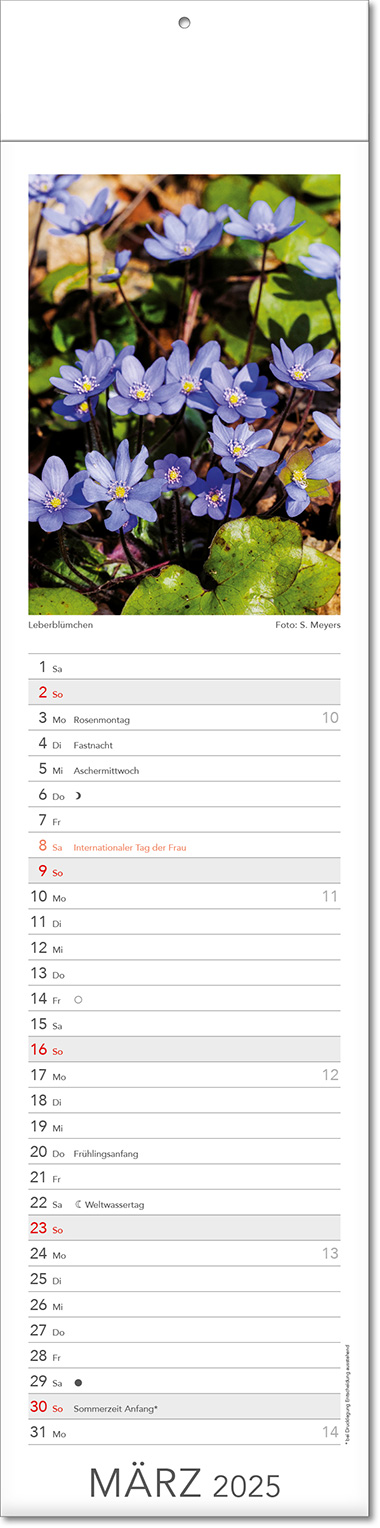 Kalender "Tee & Heiltees" im Format 13 x 53,5 cm, mit Fälzel