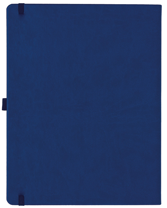 Notizbuch Style Large im Format 19x25cm, Inhalt kariert, Einband Slinky in der Farbe Ultramarine