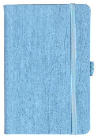 Notizbuch Style Small im Format 9x14cm, Inhalt kariert, Einband Woody in der Farbe Sky