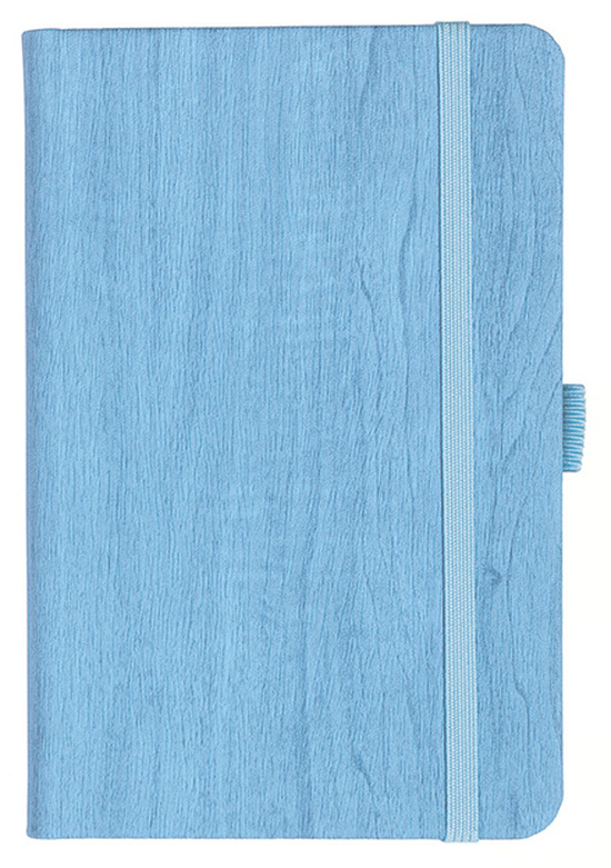 Notizbuch Style Small im Format 9x14cm, Inhalt kariert, Einband Woody in der Farbe Sky
