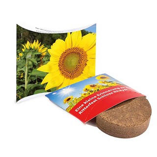 Plant-Tab mit Samen - Sonnenblume