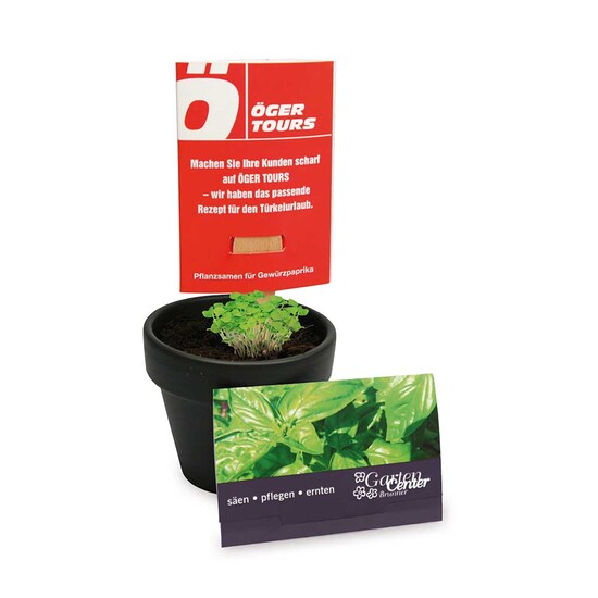 Pflanz-Stick mit Samen - Petersilie