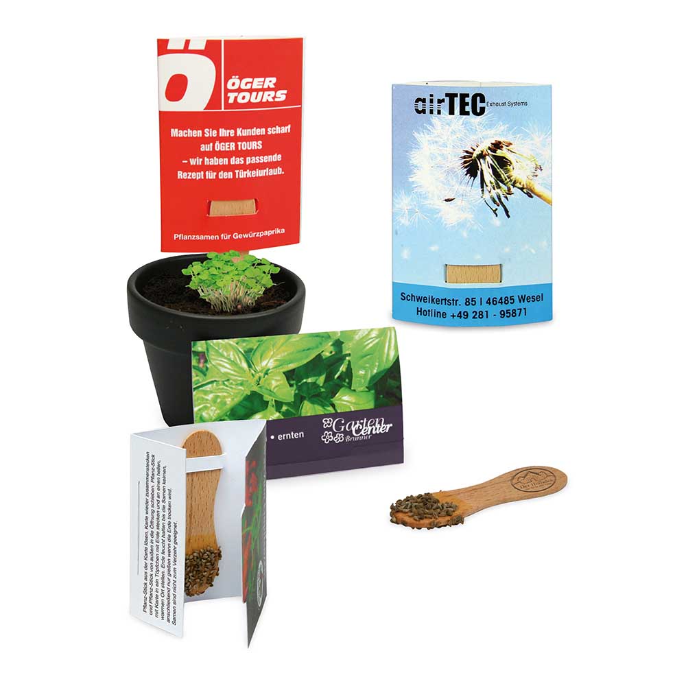 Pflanz-Stick mit Samen - Sommerblumenmischung