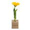 Mini-Vase