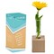 Mini-Vase - mit Digitaldruck und Lasergravur