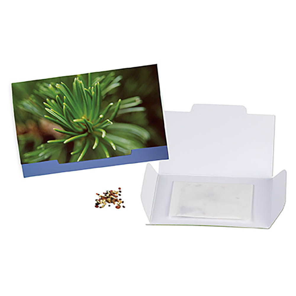 Flower-Card mit Samen