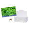 Flower-Card mit Samen