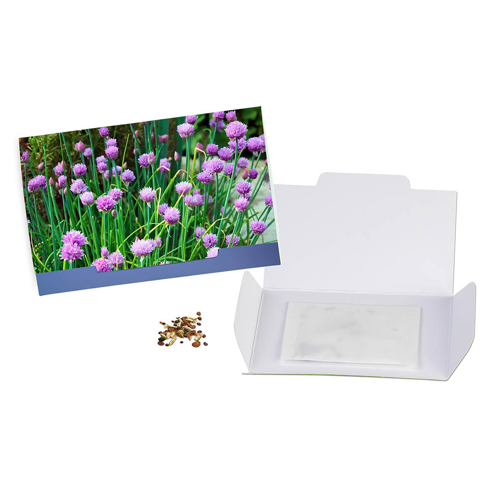 Flower-Card mit Samen