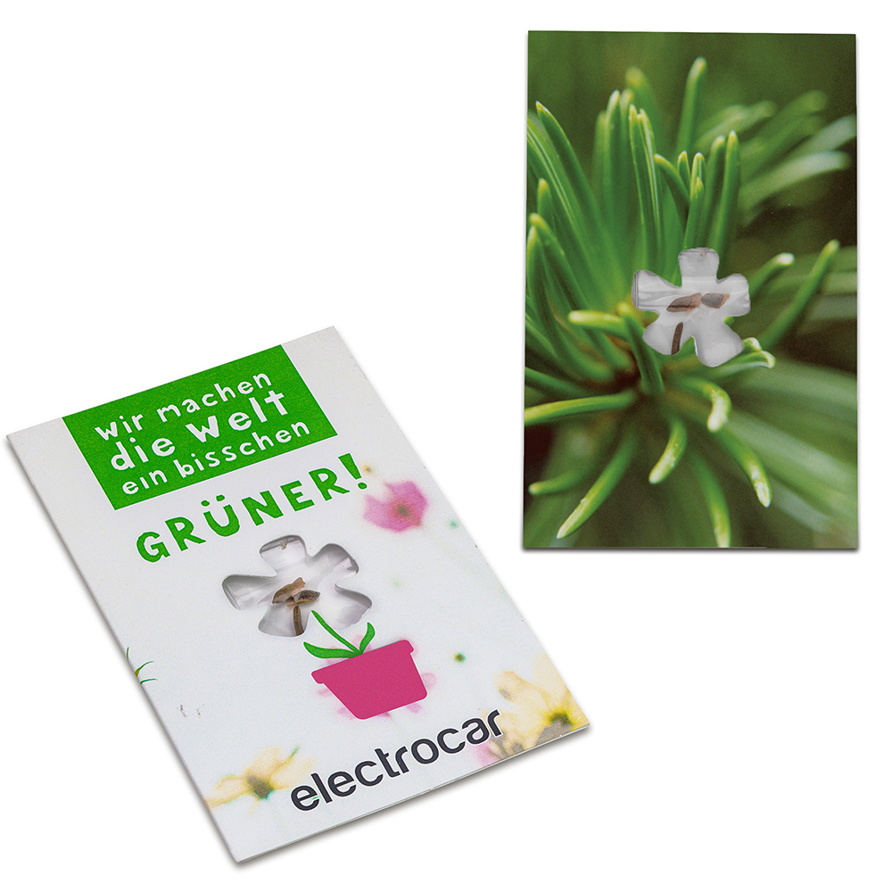 Samen-Karte-Mini Blume