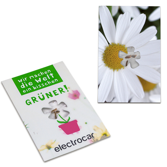 Samen-Karte-Mini Blume