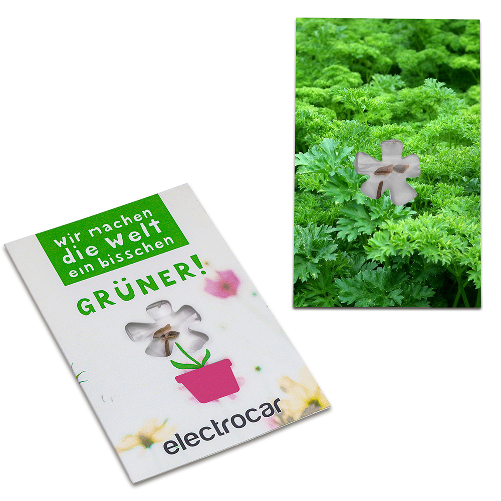 Samen-Karte-Mini Blume