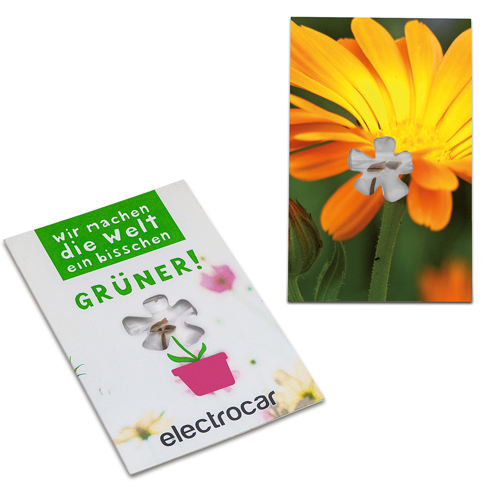 Samen-Karte-Mini Blume