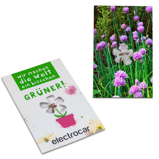 Samen-Karte-Mini Blume