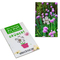 Samen-Karte-Mini Blume