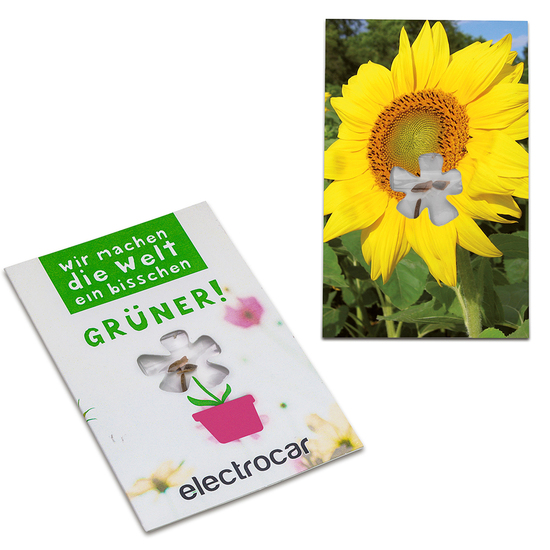 Samen-Karte-Mini Blume