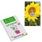 Samen-Karte-Mini Blume - Sonnenblume