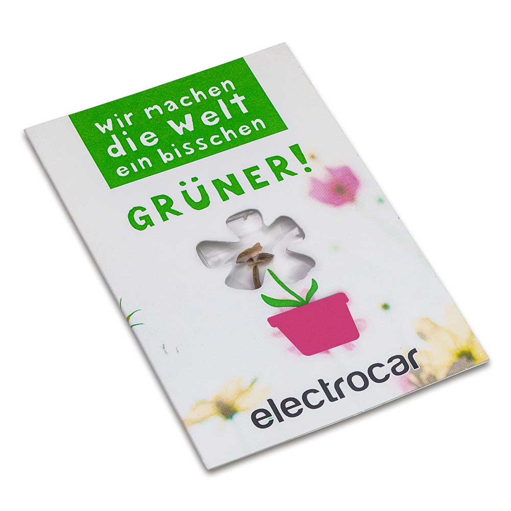 Samen-Karte-Mini Blume - Vergissmeinnicht