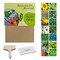 Pflanz-Set - 2er-Set - Sonnenblume / Margerite