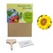 Pflanz-Set - 3er-Set - Sonnenblume / Margerite / Ringelblume