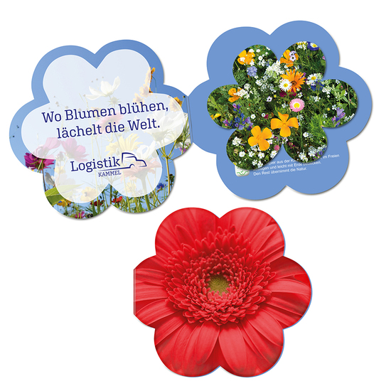 Samenpapier in Klappkärtchen Blume