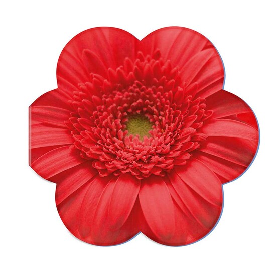 Samenpapier in Klappkärtchen Blume - Bienchen