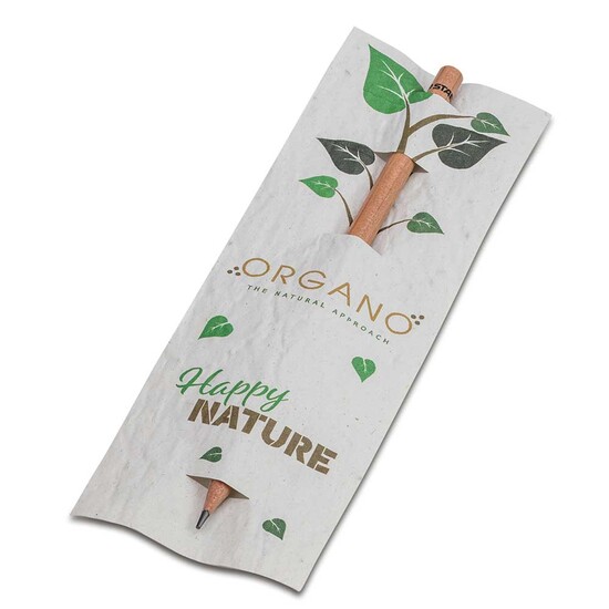 Bleistift im Samenpapieretui - Kopfsalat, Druck 4/0c, Lasergravur