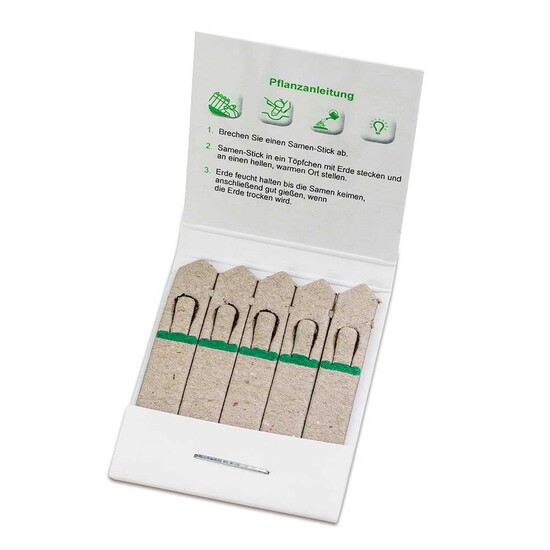 Samen-Stick - Fichte