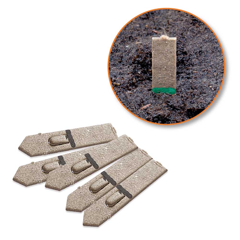 Samen-Stick - Biene - Basilikum